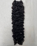 Burmese Curly Crown