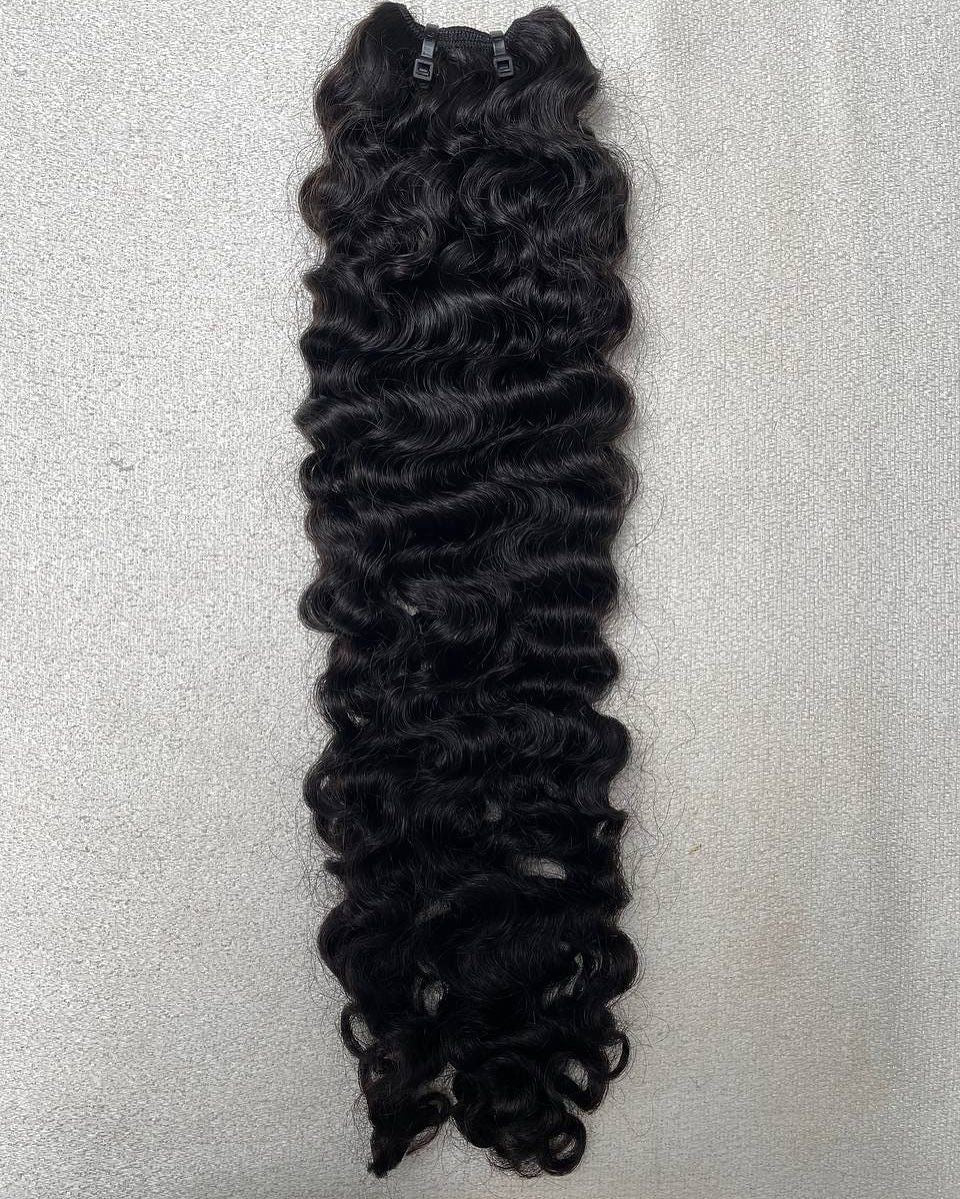 Burmese Curly Crown