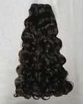 Indian Curly Crown