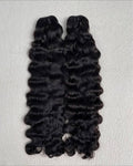Burmese Curly Crown