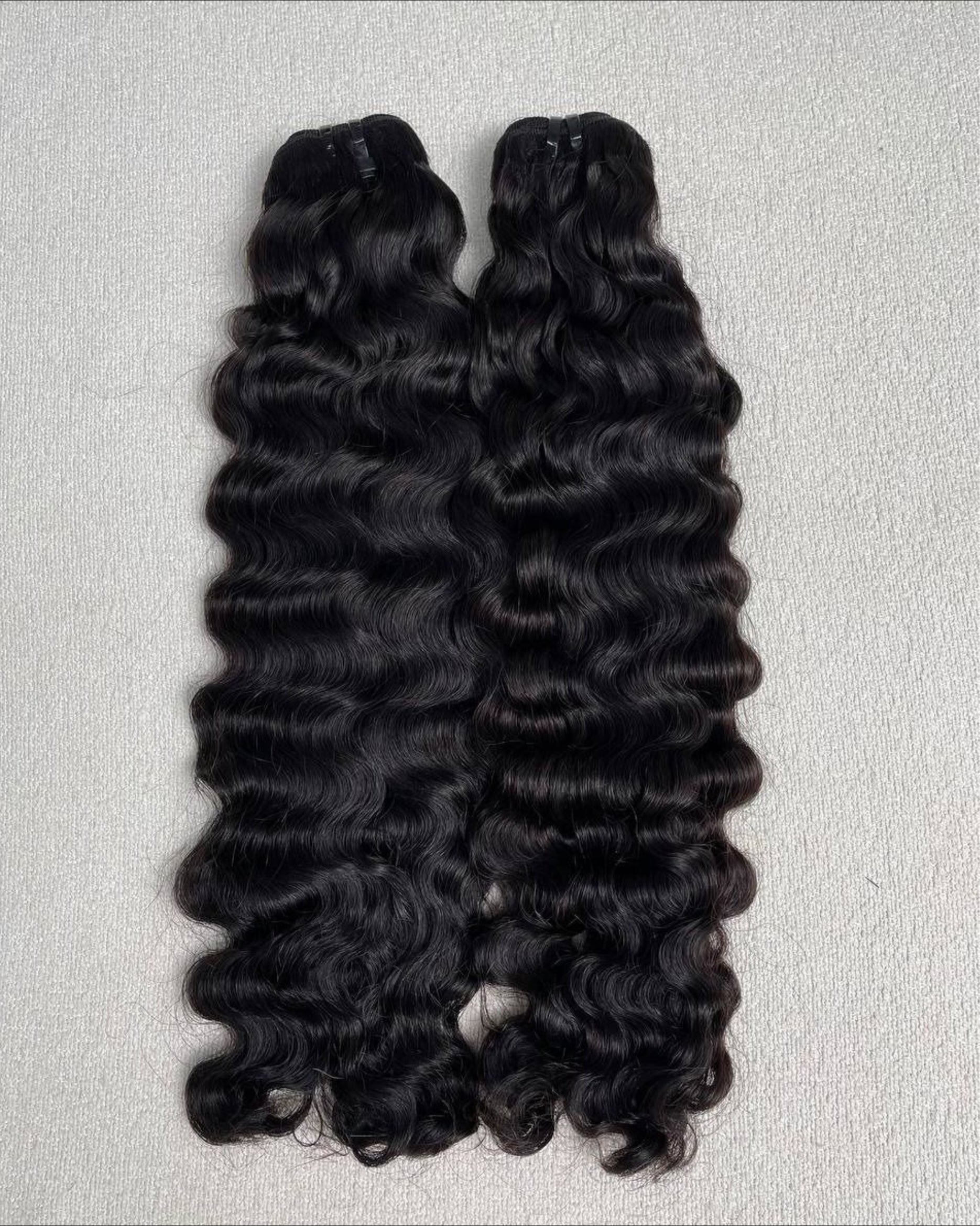 Burmese Curly Crown